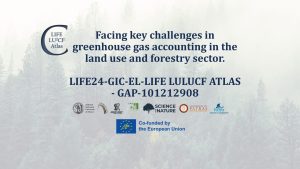 Addressing Key Challenges in Greenhouse Gas Emissions Reporting in the Forestry and Land Use Sector